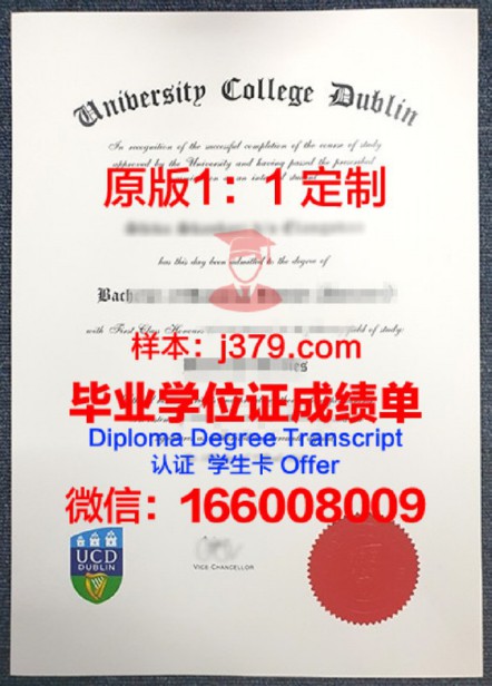 都柏林理工学院毕业证图片Dublin Institute of Technology Diploma