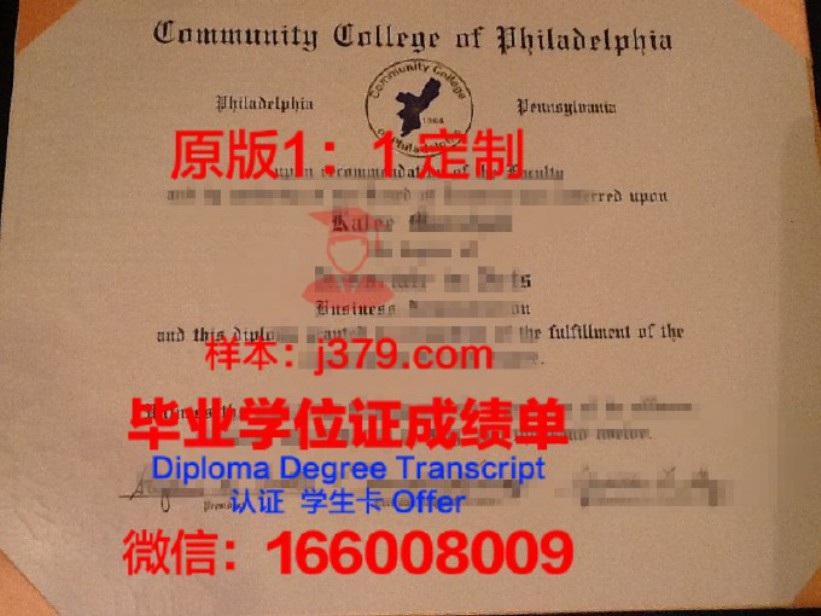 费城艺术学院毕业证图片Art Institute of Philadelphia Diploma