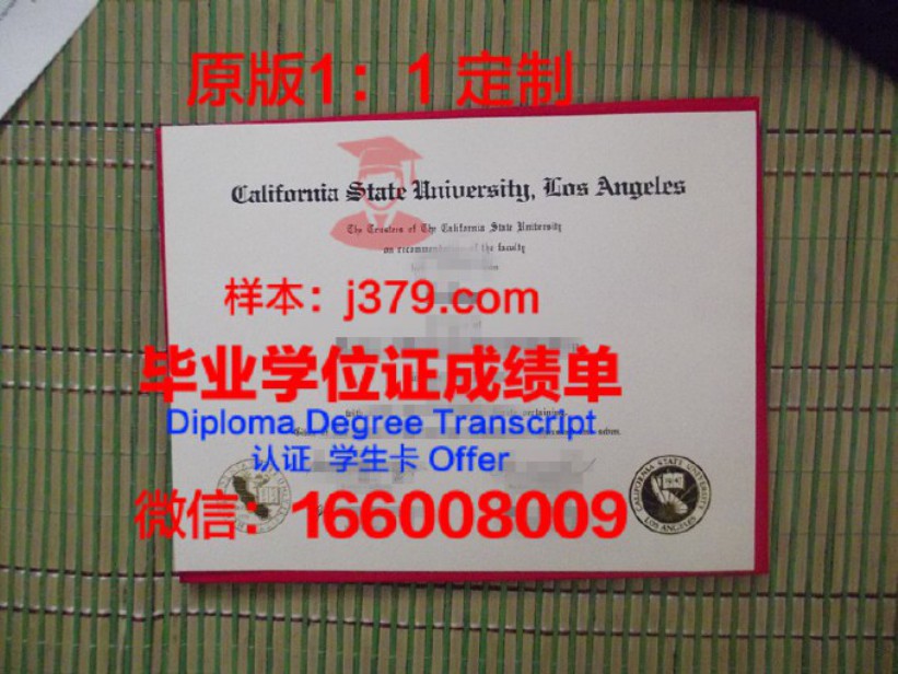 多米尼加加州大学（国际学生）毕业证图片Dominican University of California (International  Diploma