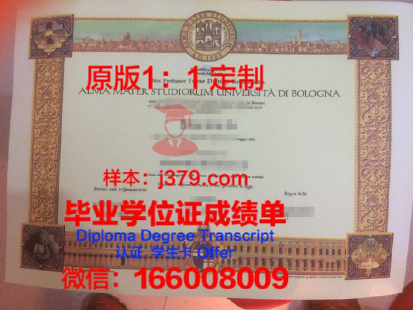 安微尼亚大学毕业证图片Alvernia University Diploma