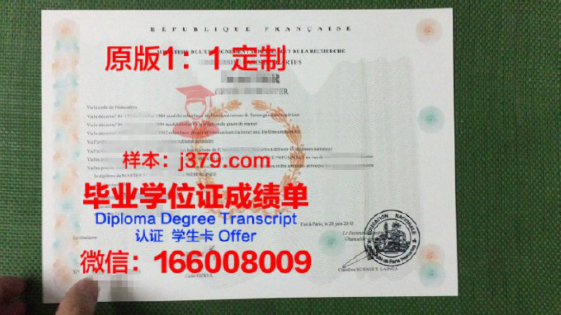 巴黎第七大学毕业证图片University Paris Diderot - Paris 7 Diploma