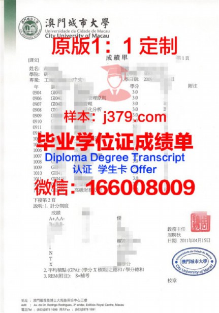 探索SIENA学位成绩单定制，助力留学申请